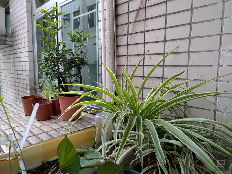 ASUS ZenFone 6 sample shots