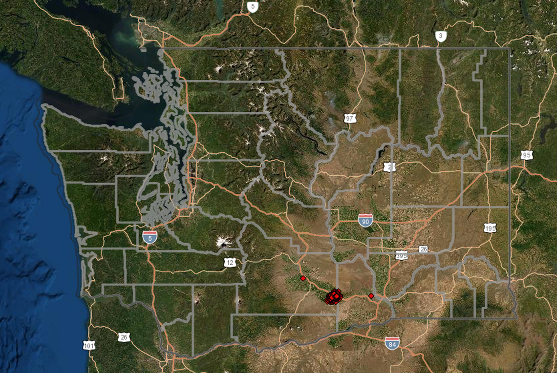 Red dots show where Japanese beetles have been reported in Washington state.