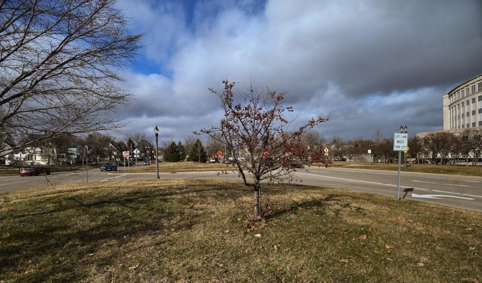 One of the median "green spaces" between the north and southbound lanes of Martin Luther King Jr. Boulevard in Lansing's Westside neighborhood, pictured Wednesday, Feb. 28, 2024.
