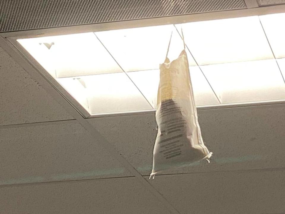 A scent bag for catching rats hangs from the ceiling inside the DMV office at Manchester Mall in Fresno on Tuesday, Oct. 17, 2023.