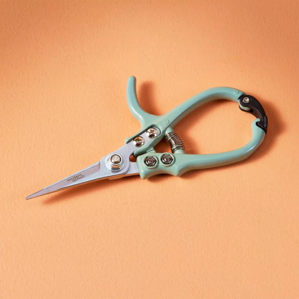 <p><a href="https://modernsprout.com/products/pruning-shears-1?variant=40208445472866%C2%A4cy%3DUSD&tw_source=google&tw_campaign=18820657650&gad_source=1&gclid=Cj0KCQjw7ZO0BhDYARIsAFttkCgkWNLcYmn4pdb2DVcbN99D29yOPhgDEhxuzVEaUxjM0zlyItNY-rUaAk4NEALw_wcB" rel="nofollow noopener" target="_blank" data-ylk="slk:Shop Now;elm:context_link;itc:0;sec:content-canvas" class="link rapid-noclick-resp">Shop Now</a></p><p>Gardening Shears and Pruners</p><p>modernsprout.com</p><p>$18.99</p>