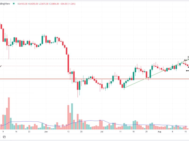 Bitcoin/U.S. dollar daily chart overlaid with the volume profile visible range.(Glenn Williams Jr./TradingView)