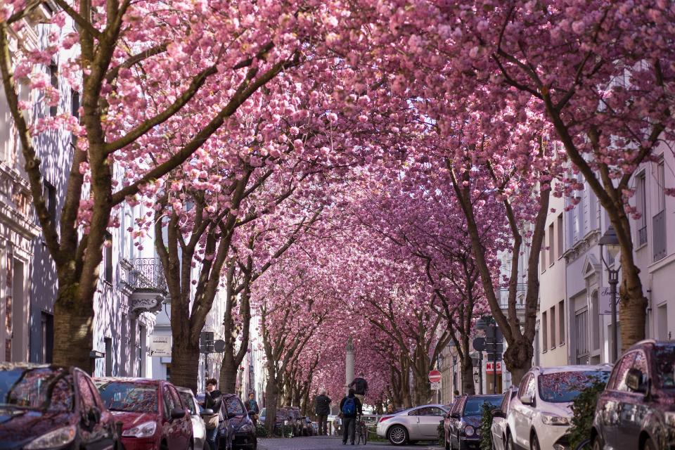 Bonn, Germany