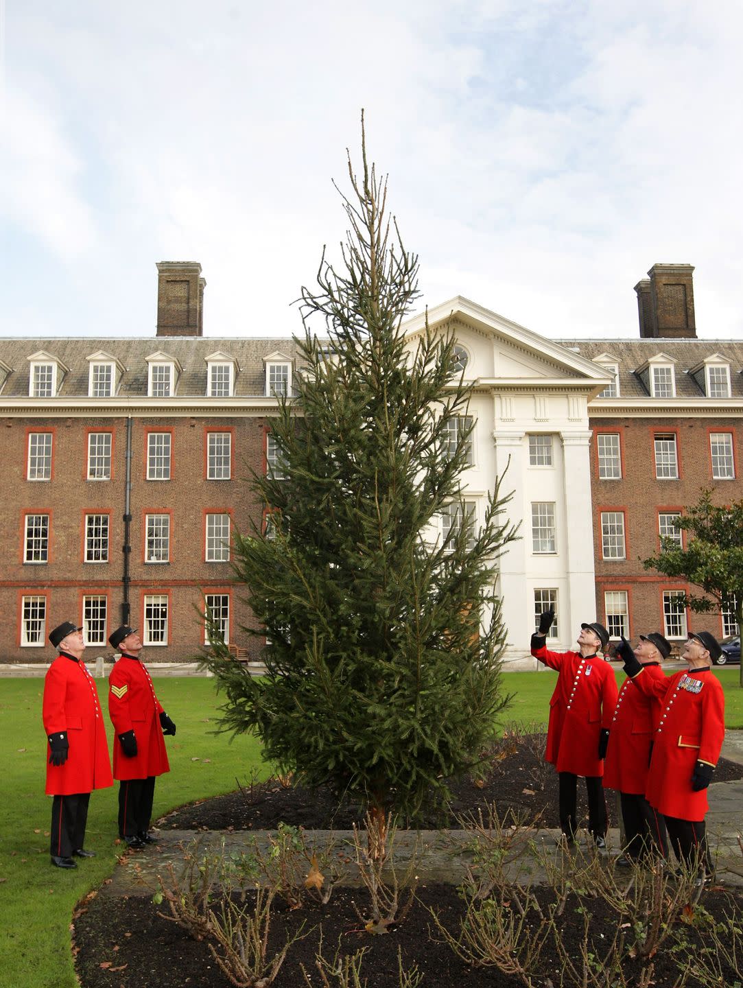 london december 08 chelsea pensioners at the royal hospital chelsea, admire the newly installed christmas tree donated from the queens windsor great park on december 8, 2008 in london, england each year the queen donates christmas trees from her crown estate which manages, amongst other rural areas, the windsor great park where the trees are grown the recipients of the donated trees include westminster abbey and the royal hospital chelsea photo by oli scarffgetty images