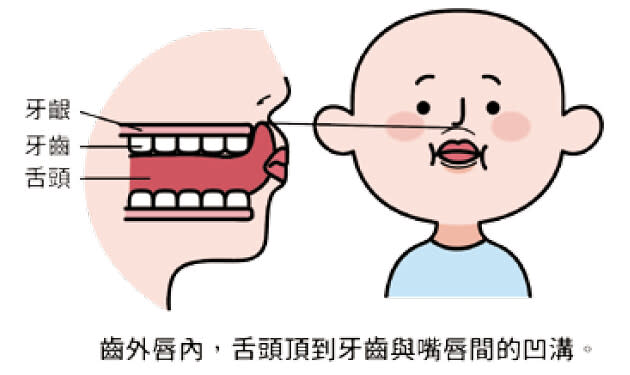 牙齦、牙齒與舌頭位置