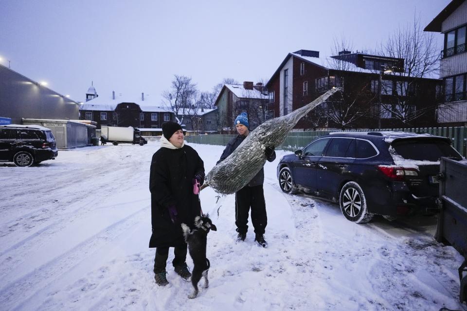 Arvo Palumae, co-owner of a Christmas tree farm, delivers a spruce to customers in Tallinn, Estonia, Tuesday, Dec. 12, 2023. In Estonia, as in many parts of the world, trees covered with lights brighten up homes and town squares during the Winter Solstice and Christmas festivities afterwards. (AP Photo/Pavel Golovkin)