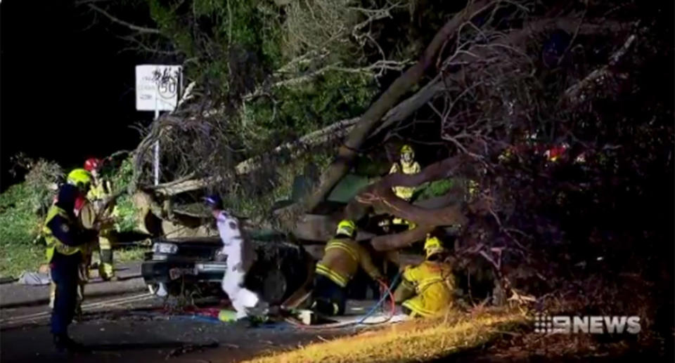 Pictured are emergency crews working to try and save NSW paramedic Dearne Fulcher and her son crushed by a fallen tree.