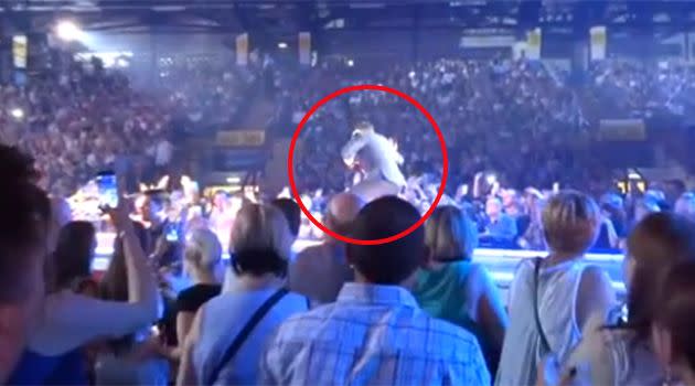 The moment Robbie face-plants into the crowd unfortunately breaking a fan's arm. Photo: YouTube