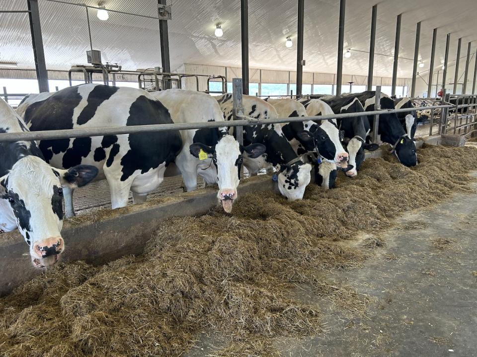 The co-op includes 19 dairy farmers, whose cows produce about 80 per cent of Newfoundland and Labrador's milk supply.