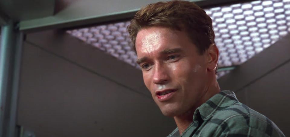 Arnold Schwarzenegger as Douglas Quaid in Total Recall