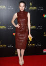 <p>"Beautiful Kate" actress Sophie Lowe hits the 2013 AACTAs red carpet.</p>