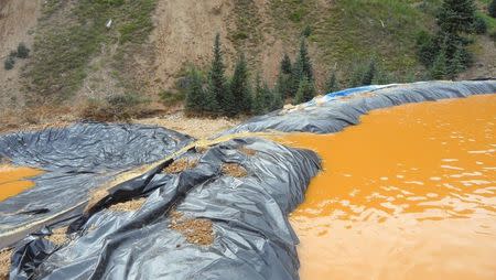 Yellow mine waste water from the Gold King Mine collects in a holding pool in San Juan County, Colorado, is seen in this picture released by the Environmental Protection Agency (EPA) taken August 7, 2015. REUTERS/EPA/Handout