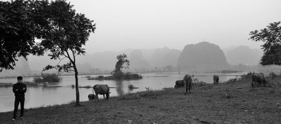 VIVRE AU VIETNAM : LE VACHER par louis.foecy.fr