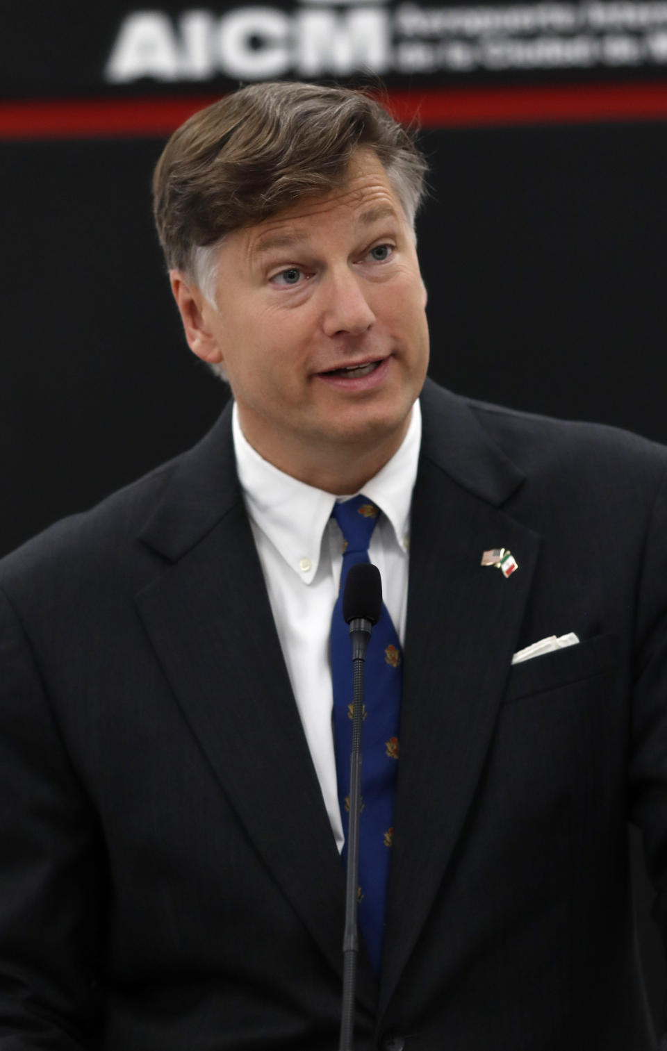 Christopher Landau, the new U.S. ambassador to Mexico, delivers a statement to members of the media at the Benito Juarez International Airport, upon his arrival to Mexico City, Friday, Aug. 16, 2019. (AP Photo/Eduardo Verdugo)