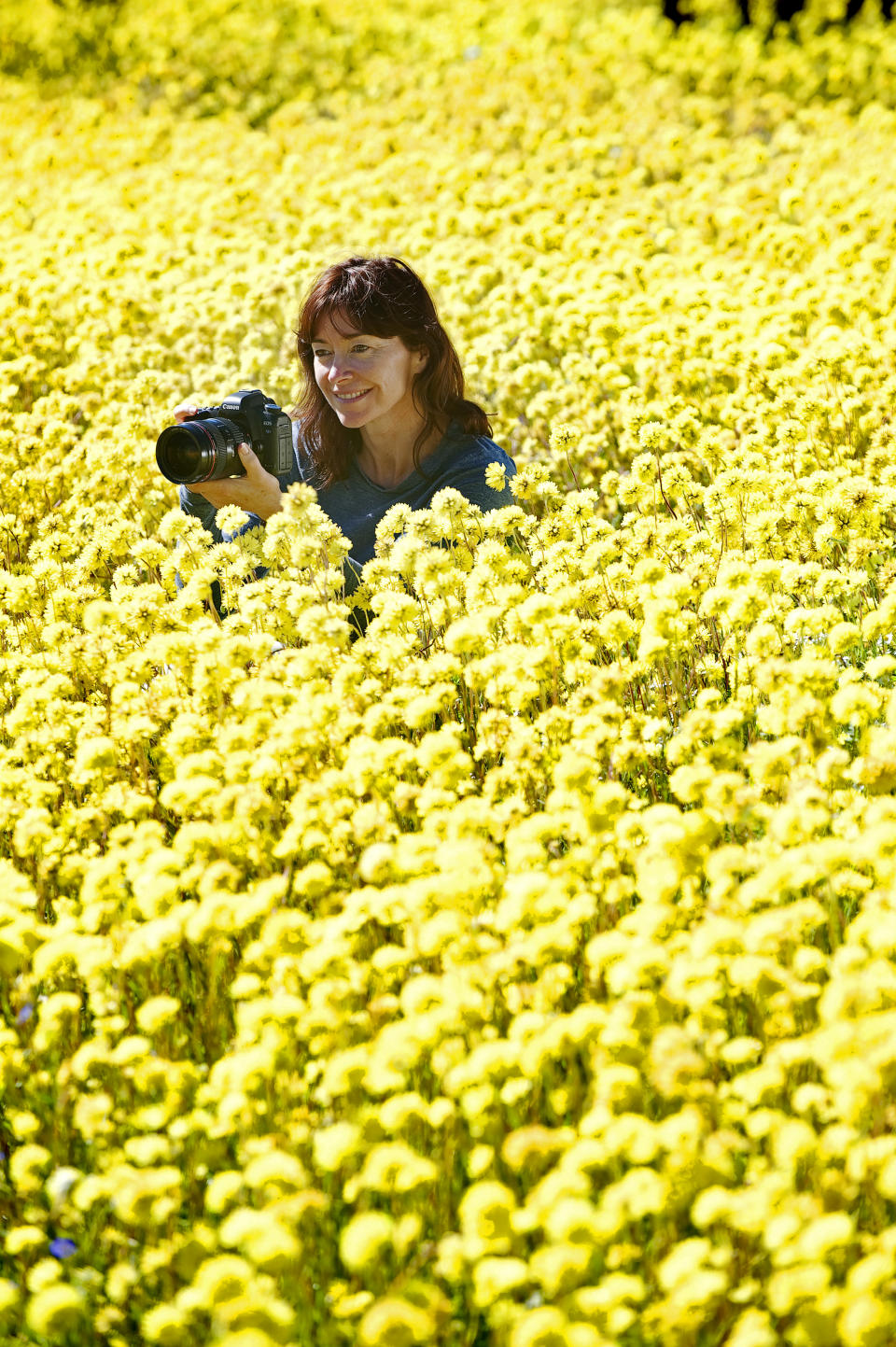 Taking field of flowers to the next level (Photo: © Tourism Western Australia)