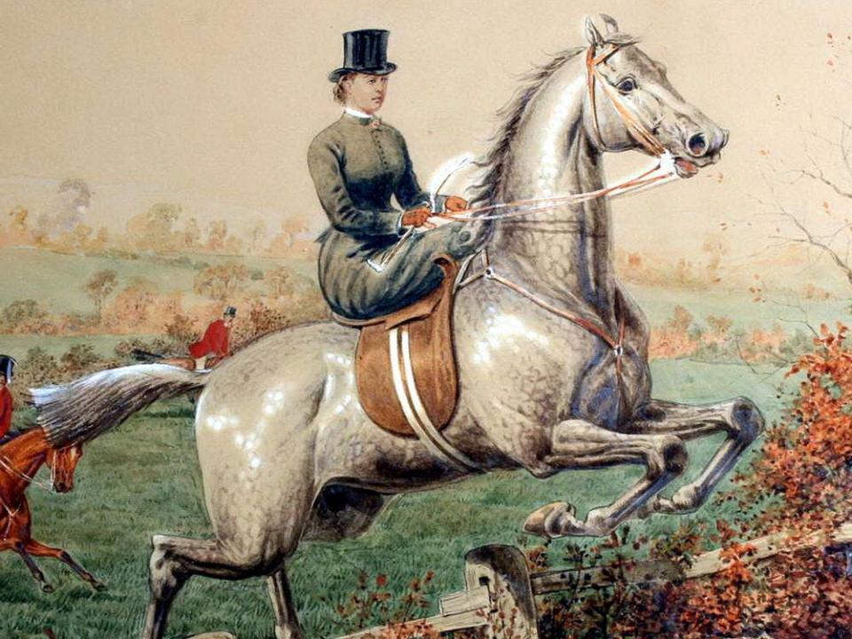 equestrian victorian