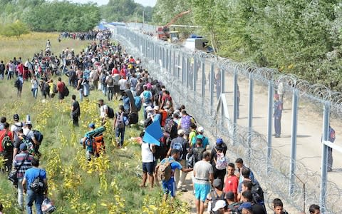 Hungary sealed the last gap in the barricade along its border with Serbia in September 2015 - Credit: DARKO DOZET/ EPA