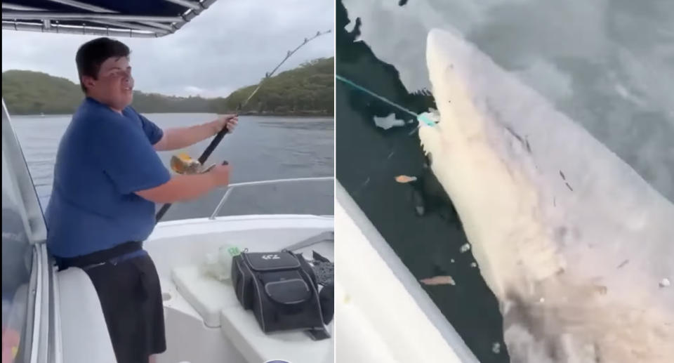 A teen from Sydney's north shore caught a huge shark while fishing in Middle Harbour. Source: Mosman Collective