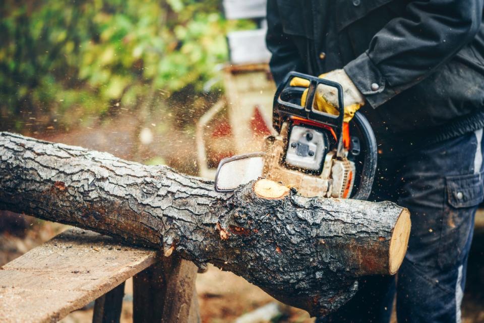 man using a chainsaw to cut through a large branch