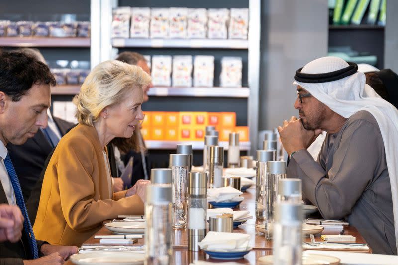 FILE PHOTO: Sheikh Mohamed bin Zayed Al Nahyan, President of the United Arab Emirates, meets with Ursula von der Leyen, President of the European Commission in Abu Dhabi