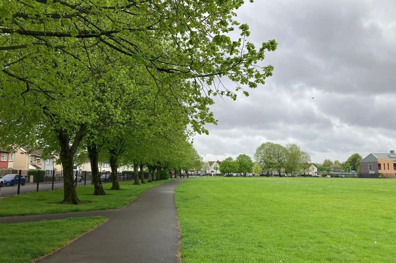 The lush green field of Splott Park in the Splott area of Cardiff -Credit:WalesOnline