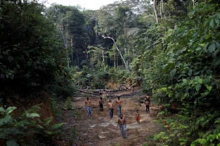 Indigenous people from the Mura tribe shows a deforested area in unmarked indigenous lands inside the Amazon rainforest near Humaita