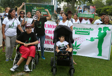 People participate in a protest in favour of the legalization of medical marijuana outside the Interior Ministry in Lima, Peru March 1, 2017. REUTERS/Guadalupe Pardo