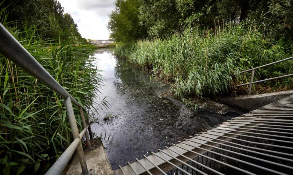 <span>Photograph: David Levene/The Guardian</span>