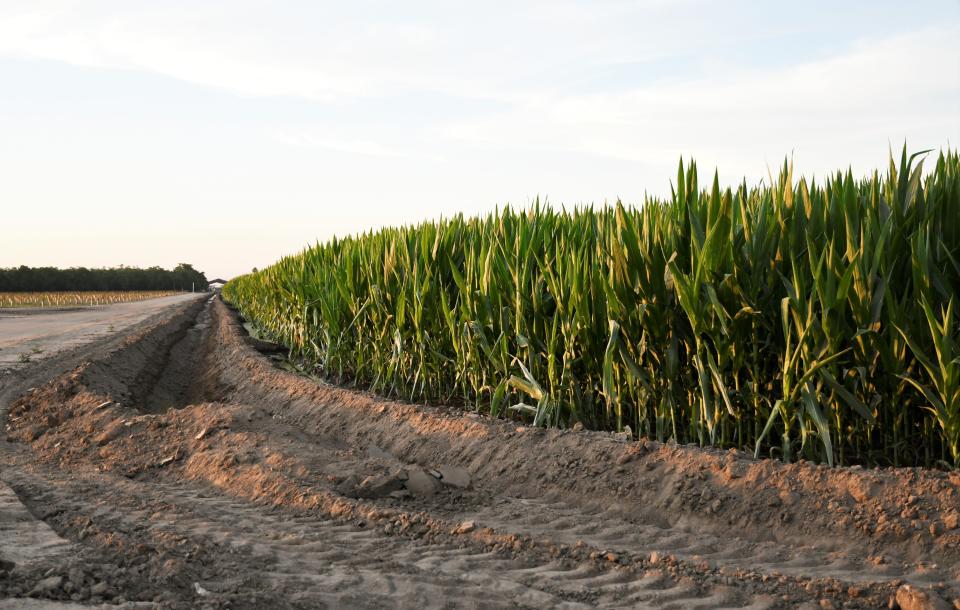 Tulare County sheriff's officials are calling the Saturday morning incident "horrific."