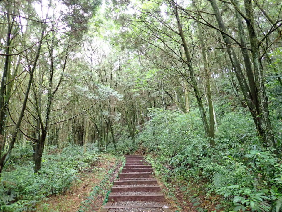 南投金龍山步道