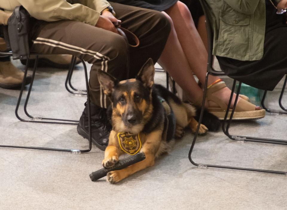 July 08, 2022; Montevallo, AL, USA; "Bodie" sits at the feet of a deputy during the funeral for Bibb County Deputy Brad Johnson at the University of Montevallo Student Activity Center. "Bodie" was Deputy Johnson's K-9 partner. Gary Cosby Jr.-The Tuscaloosa News