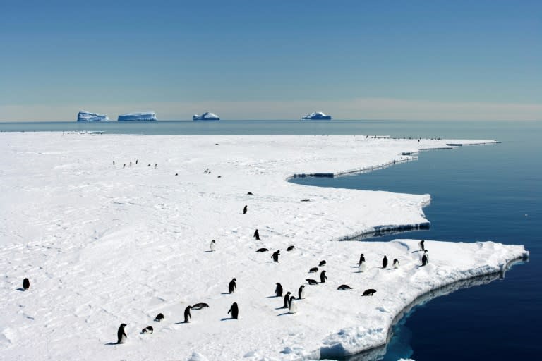 An Australia and France-led push this year to create a second protected area in East Antarctica spanning another one million square kilometre zone failed