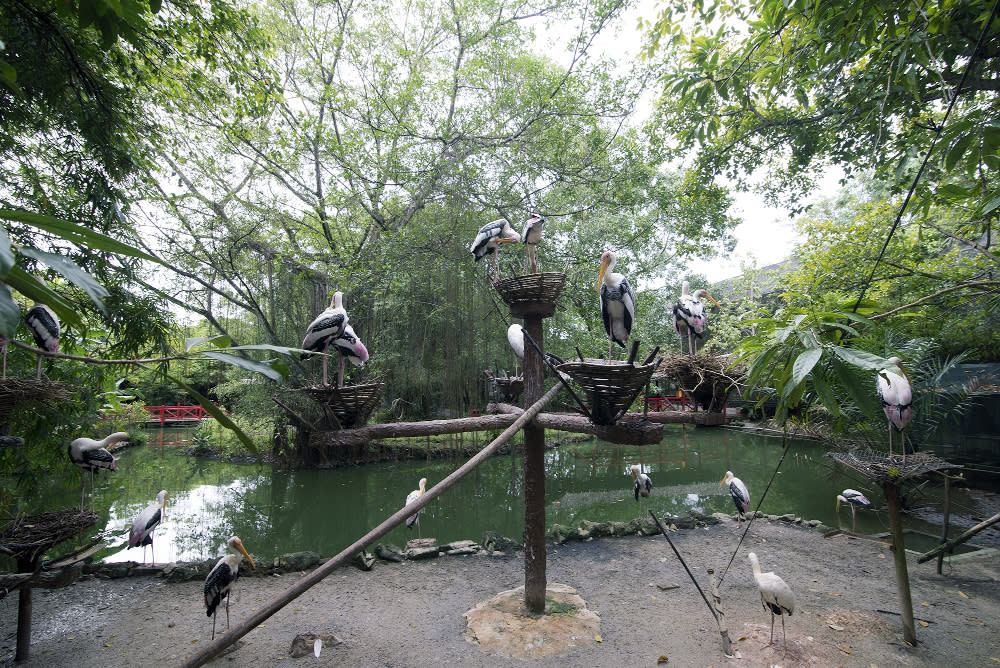 Penang is proposing that outdoor attractions like the Penang Bird Park be reopened for a test run. — Picture by Steven Ooi KE