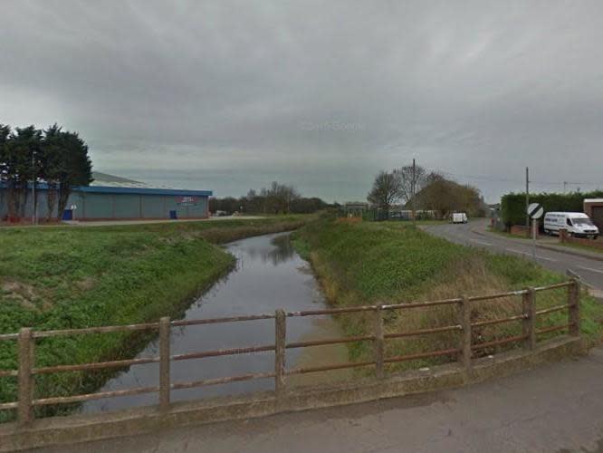 A member of the public made the discovery in South Forty Foot Drain in Boston on 12 January: Google