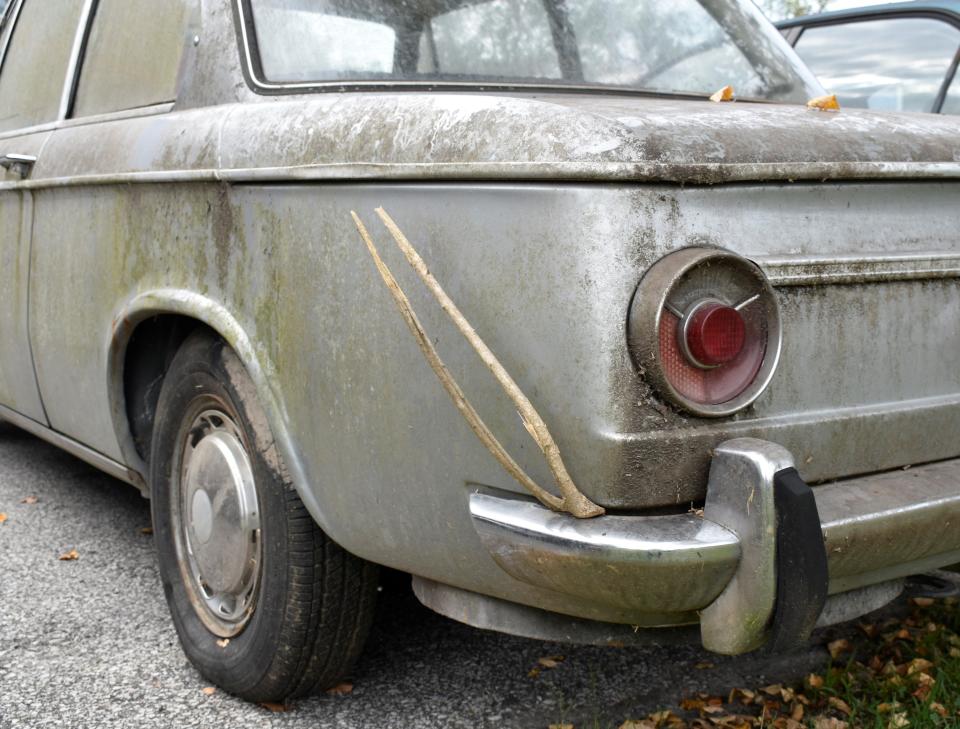 Before this 1969 BMW got cleaned up, there was a stick or possibly a root wedged in the bumper.