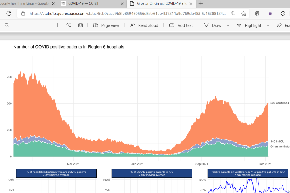 The graphic shows how the number of COVID-19 patients has fluctuated during 2021.