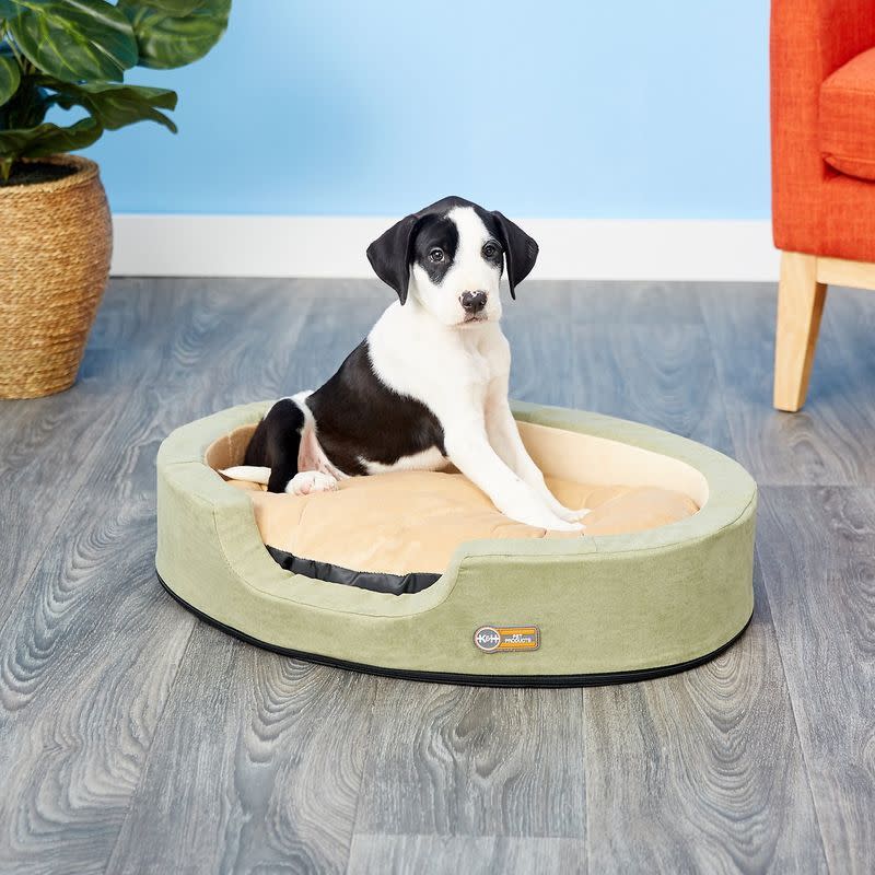 <p><a href="https://go.redirectingat.com?id=74968X1596630&url=https%3A%2F%2Fwww.chewy.com%2Fkh-pet-products-thermo-snuggly%2Fdp%2F57138&sref=https%3A%2F%2Fwww.countryliving.com%2Fshopping%2Fgifts%2Fg1478%2Fgifts-for-dog-lovers%2F" rel="nofollow noopener" target="_blank" data-ylk="slk:Shop Now;elm:context_link;itc:0;sec:content-canvas" class="link rapid-noclick-resp">Shop Now</a></p><p>Heated Pet Bed</p><p>chewy.com</p><p>$70.99</p><span class="copyright">Chewy</span>