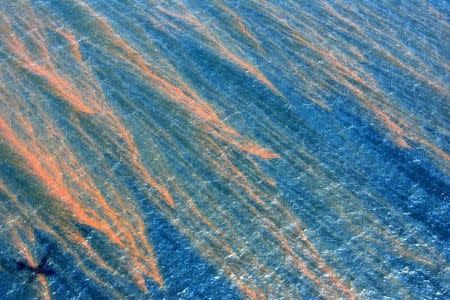 Oil is seen on the surface of the Gulf of Mexico as BP tries to stop oil leaking from the Deepwater Horizon wellhead in the Gulf of Mexico 55 miles (89 km) south of Port Fourchon, Louisiana May 8, 2010. REUTERS/Sean Gardner