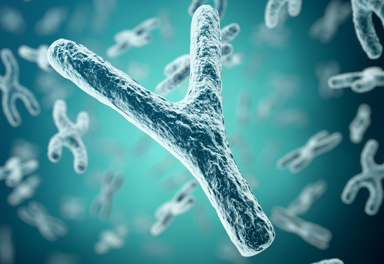 <a href="https://www.shutterstock.com/es/image-illustration/xychromosomes-on-background-medical-symbol-gene-559732429" rel="nofollow noopener" target="_blank" data-ylk="slk:Rost9/Shutterstock;elm:context_link;itc:0;sec:content-canvas" class="link ">Rost9/Shutterstock</a>