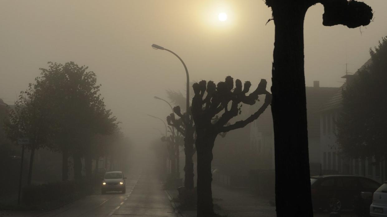 Malerisch, aber gefährlich: Gerade morgens und abends müssen Autofahrer im Frühjahr mit Nebel rechnen. Foto: TÜV Rheinland