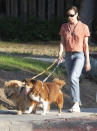 <p>Aubrey Plaza takes her pups for a walk around L.A. on Aug. 16. </p>