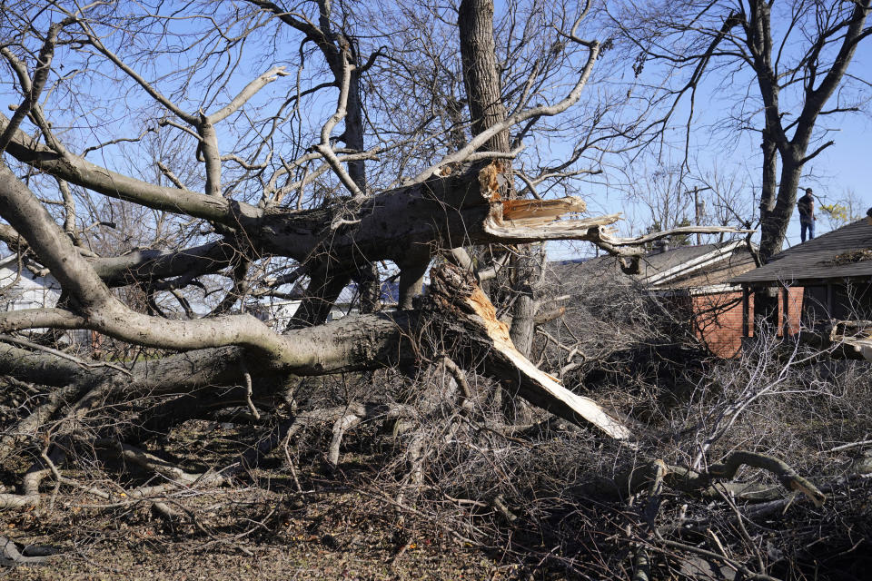 Damian Reinhold surveys damage to trees brought down by a tornado outside his friend's home, Tuesday, Dec. 13, 2022, in Wayne, Okla. (AP Photo/Sue Ogrocki)