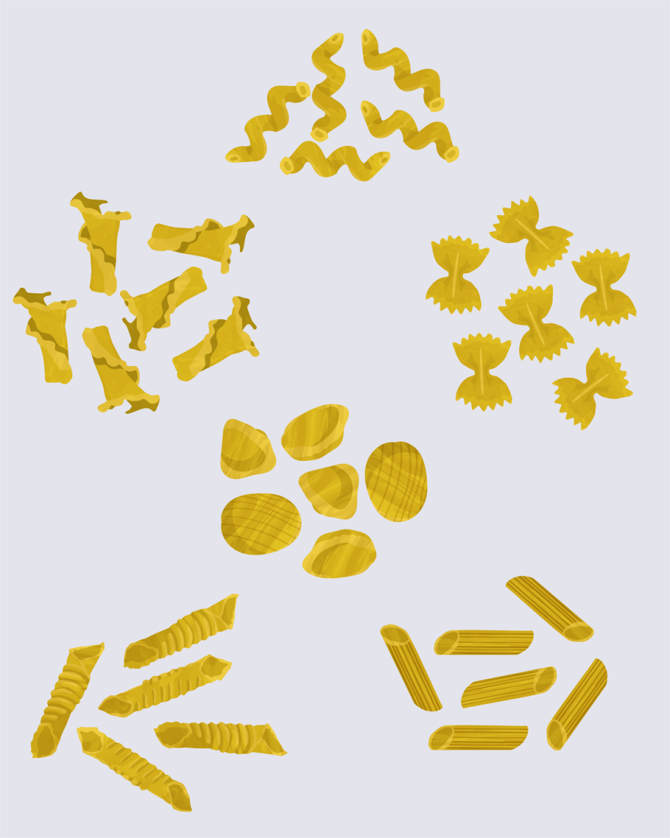 Our Illustrated Guide to Pasta Shapes, from Calamarata to Ziti