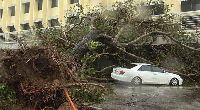 The aftermath of Tropical Cyclone Marcus after it hit Darwin's CBD on Saturday. Source: AAP