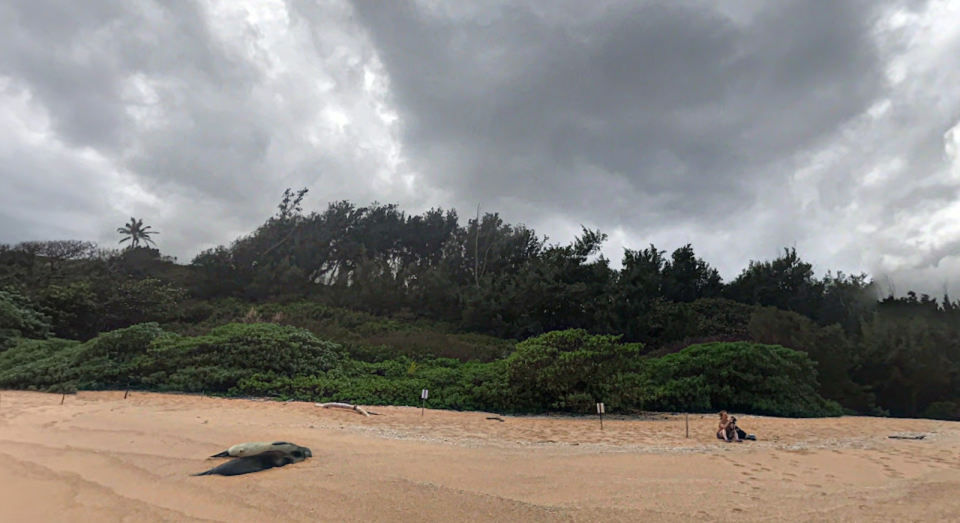 Strand in der Nähe der Koolau Ranch