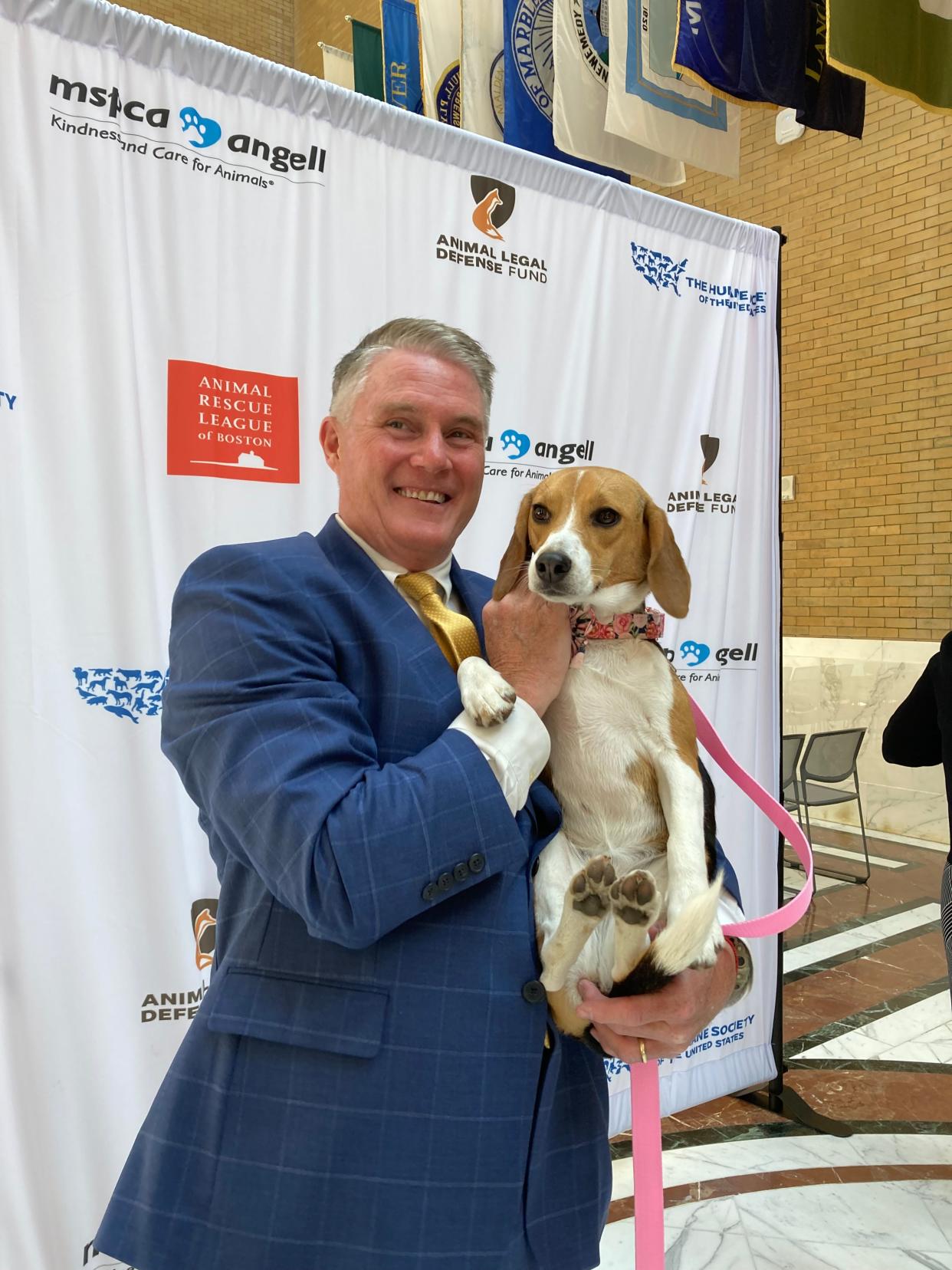 Rep. Rodney Elliott, D-Lowell, with Moira Rose, one of the beagles rescued from a breeding mill in another state. The dog was one of more than 200 brought to Massachusetts, cared for, and fostered.