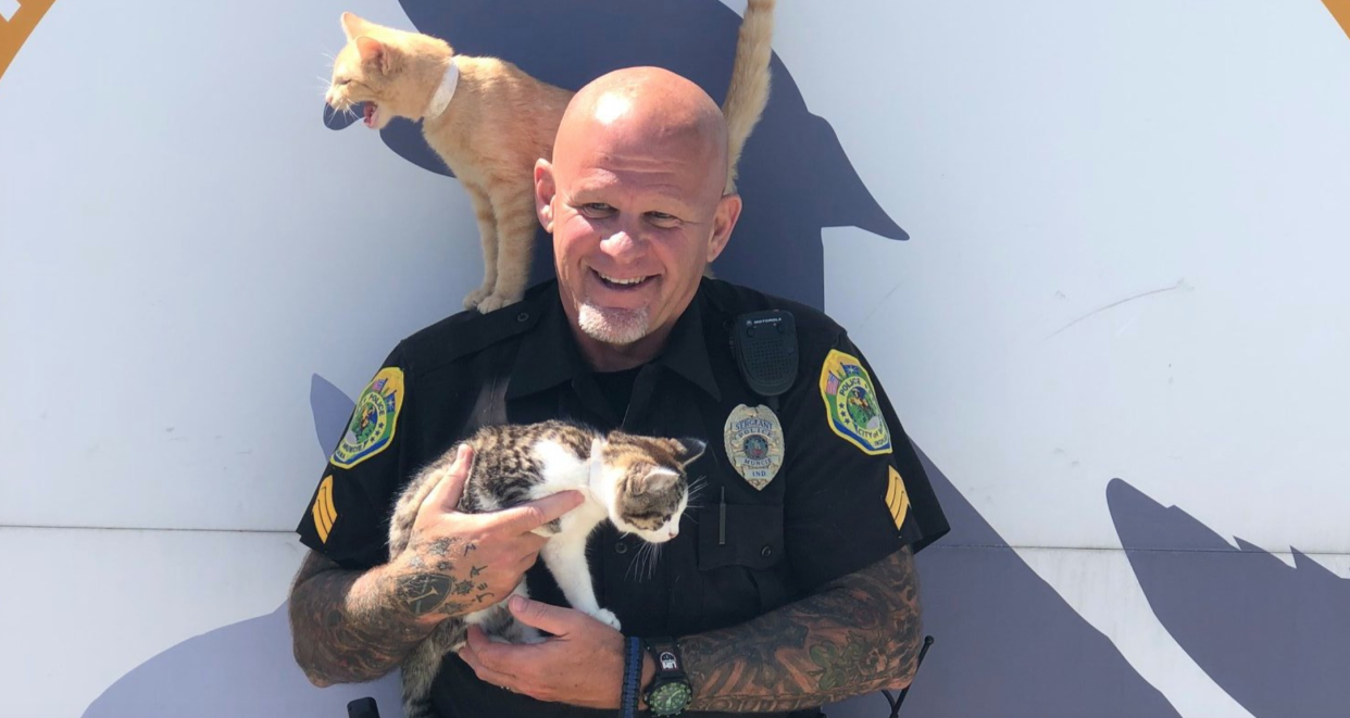 Sergeant Mace with the Muncie Police Department poses with cats at the Muncie Animal Shelter. Recently, the department ran a promotion which would accept donations to the shelter in lieu of cash for parking tickets. (Photo: Facebook)