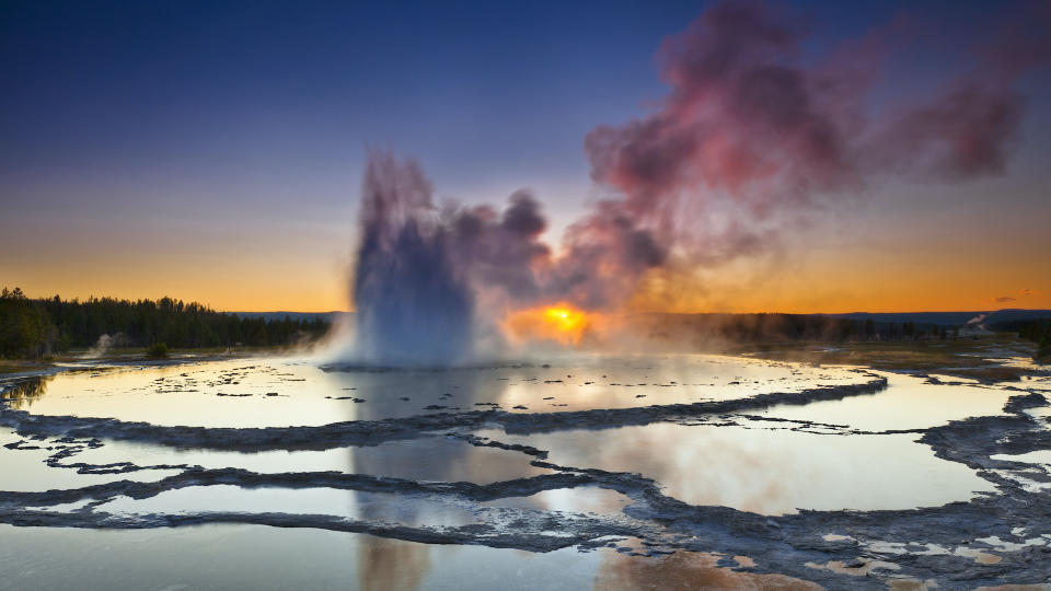 A geyser in Yellowstone National Par