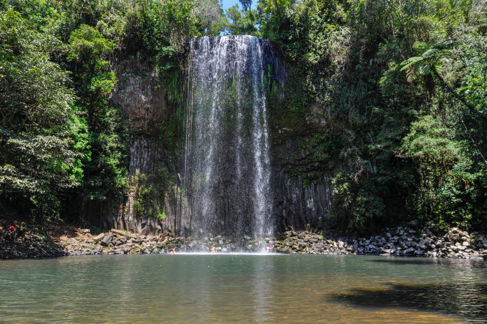 Millaa Millaa Falls in Atherton Tablelands in Queensland, Australia