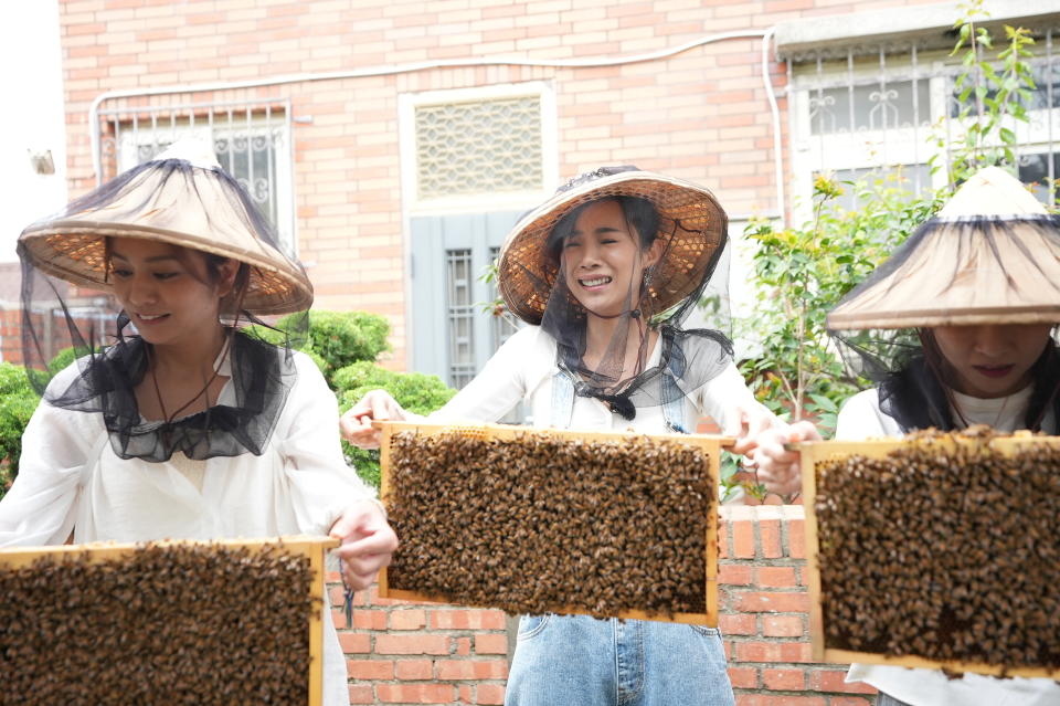 康茵茵挑戰拿蜂巢（圖／緯來綜合台）